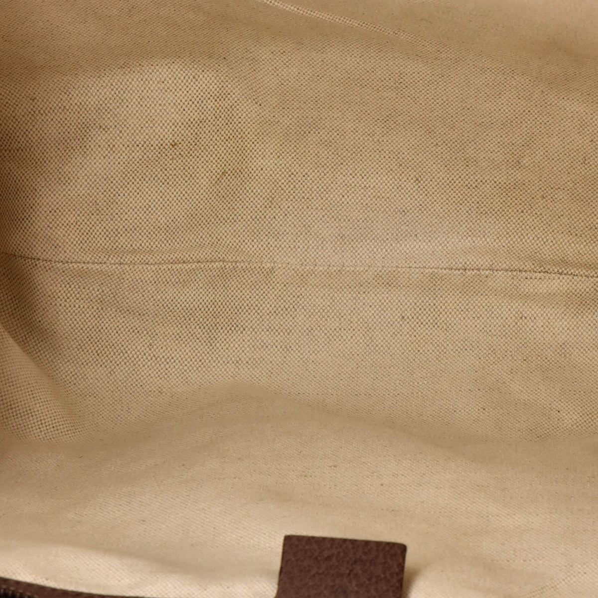 Ophidia Half Moon Hobo GG Coated Canvas Large